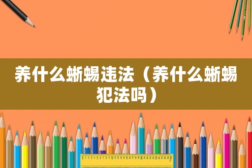 養什么蜥蜴違法（養什么蜥蜴犯法嗎）