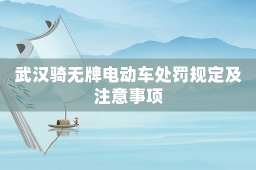 武漢騎無牌電動車處罰規(guī)定及注意事項