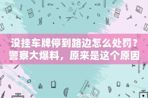 沒掛車牌停到路邊怎么處罰？警察大爆料，原來是這個原因