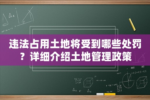 違法占用土地將受到哪些處罰？詳細介紹土地管理政策