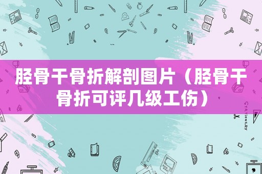 脛骨干骨折解剖圖片（脛骨干骨折可評幾級工傷）
