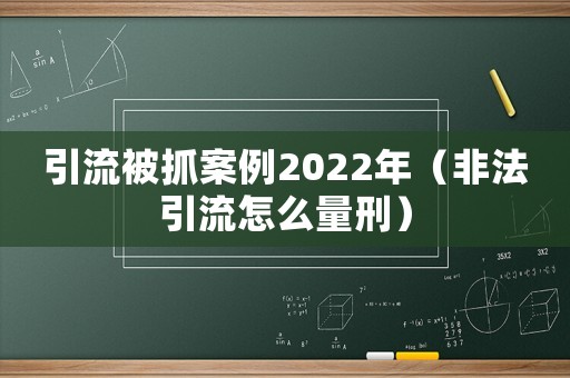 引流被抓案例2022年（非法引流怎么量刑）
