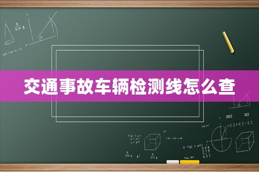 交通事故車輛檢測線怎么查