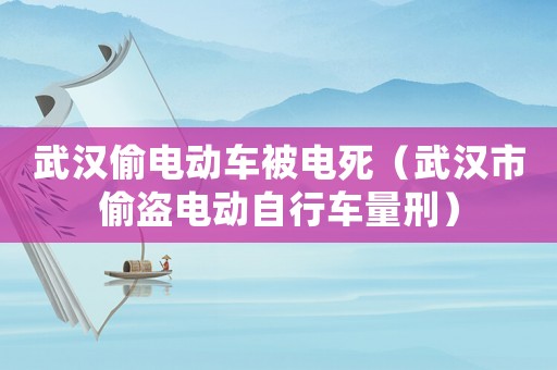 武漢偷電動(dòng)車被電死（武漢市偷盜電動(dòng)自行車量刑）