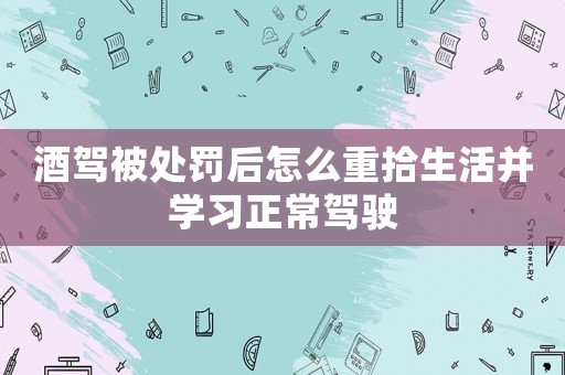 酒駕被處罰后怎么重拾生活并學習正常駕駛