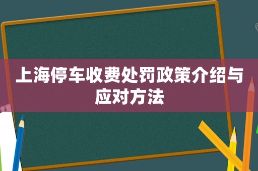 上海停車收費處罰政策介紹與應對方法
