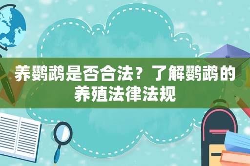 養鸚鵡是否合法？了解鸚鵡的養殖法律法規