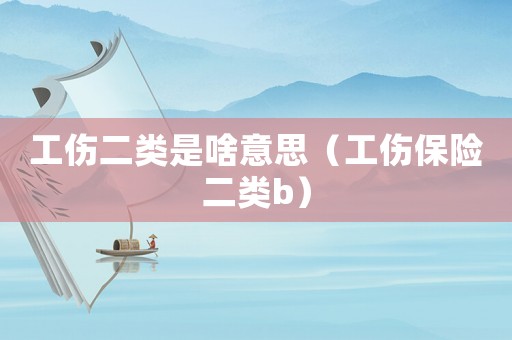 工傷二類是啥意思（工傷保險二類b）
