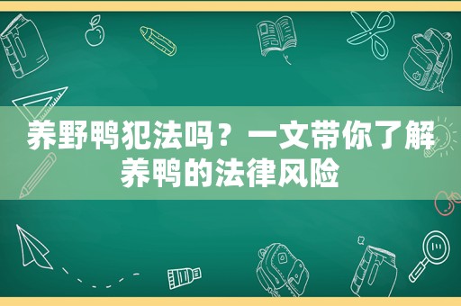養野鴨犯法嗎？一文帶你了解養鴨的法律風險