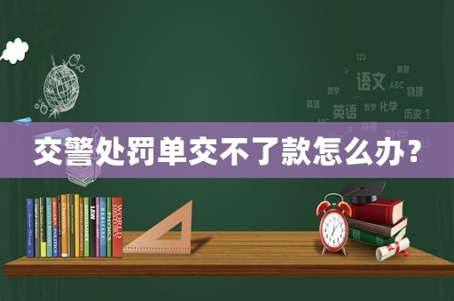 交警處罰單交不了款怎么辦？