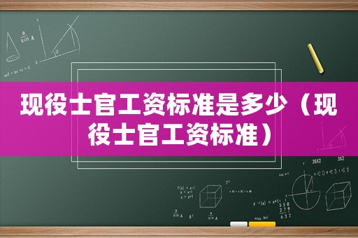 現(xiàn)役士官工資標(biāo)準(zhǔn)是多少（現(xiàn)役士官工資標(biāo)準(zhǔn)）