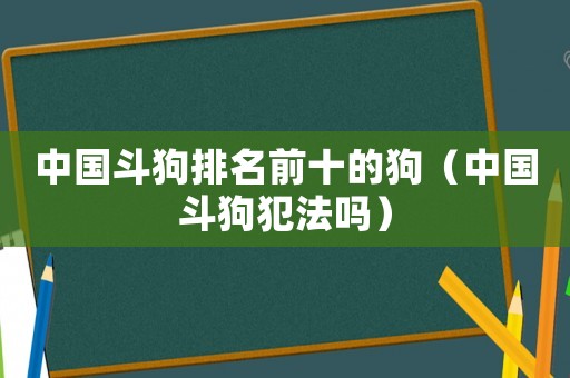 中國斗狗排名前十的狗（中國斗狗犯法嗎）