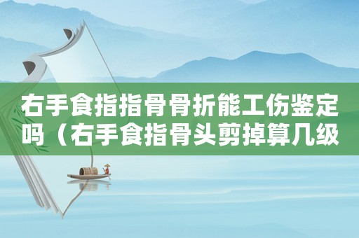 右手食指指骨骨折能工傷鑒定嗎（右手食指骨頭剪掉算幾級工傷）