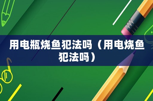 用電瓶燒魚犯法嗎（用電燒魚犯法嗎）