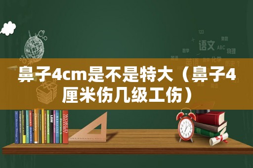 鼻子4cm是不是特大（鼻子4厘米傷幾級工傷）