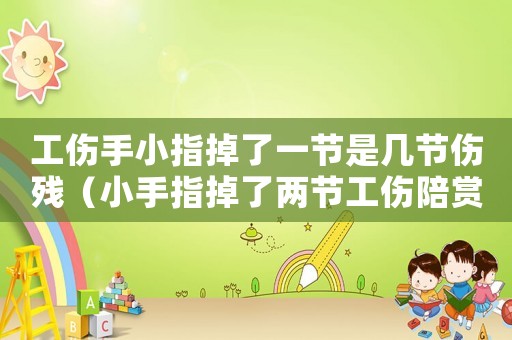 工傷手小指掉了一節是幾節傷殘（小手指掉了兩節工傷陪賞多少錢）