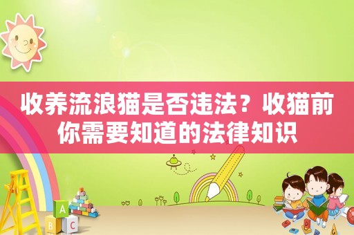 收養(yǎng)流浪貓是否違法？收貓前你需要知道的法律知識(shí)