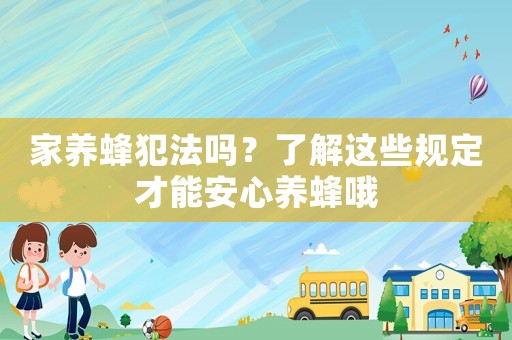 家養(yǎng)蜂犯法嗎？了解這些規(guī)定才能安心養(yǎng)蜂哦