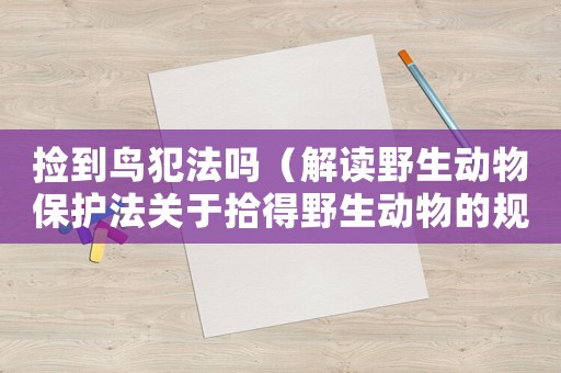 撿到鳥犯法嗎（解讀野生動物保護法關于拾得野生動物的規定）
