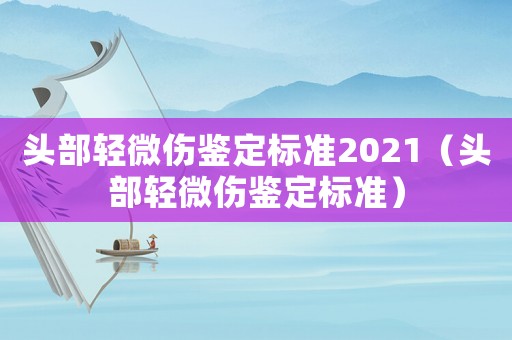 頭部輕微傷鑒定標(biāo)準(zhǔn)2021（頭部輕微傷鑒定標(biāo)準(zhǔn)）