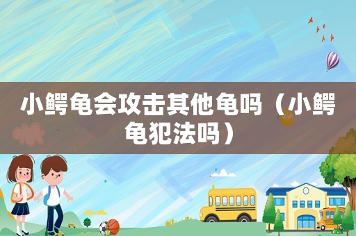 小鱷龜會攻擊其他龜嗎（小鱷龜犯法嗎）