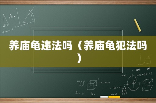 養廟龜違法嗎（養廟龜犯法嗎）