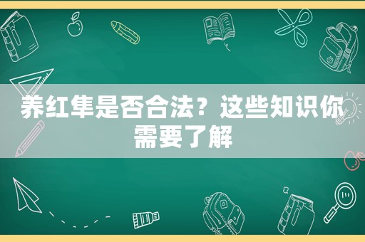 養紅隼是否合法？這些知識你需要了解