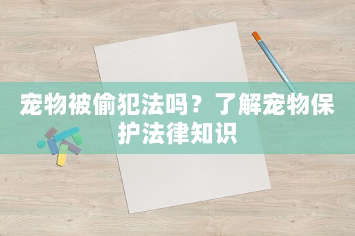 寵物被偷犯法嗎？了解寵物保護法律知識