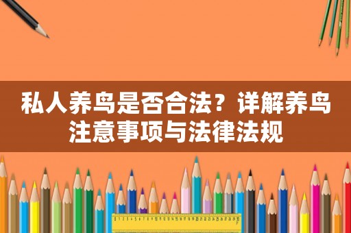 私人養(yǎng)鳥是否合法？詳解養(yǎng)鳥注意事項與法律法規(guī)