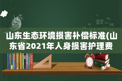 山東生態環境損害補償標準(山東省2021年人身損害護理費賠償標準？)