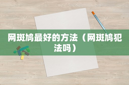 網斑鳩最好的方法（網斑鳩犯法嗎）