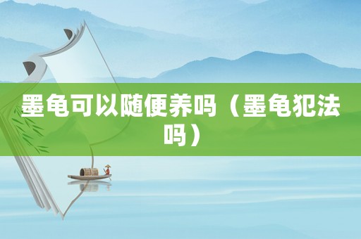 墨龜可以隨便養嗎（墨龜犯法嗎）