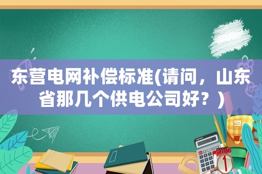 東營(yíng)電網(wǎng)補(bǔ)償標(biāo)準(zhǔn)(請(qǐng)問(wèn)，山東省那幾個(gè)供電公司好？)