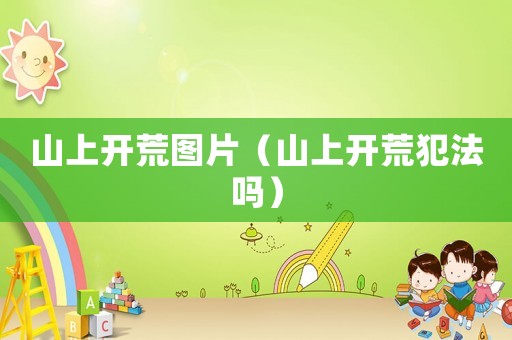 山上開荒圖片（山上開荒犯法嗎）