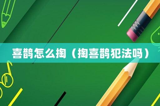 喜鵲怎么掏（掏喜鵲犯法嗎）
