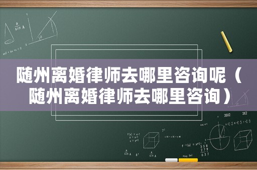 隨州離婚律師去哪里咨詢呢（隨州離婚律師去哪里咨詢）