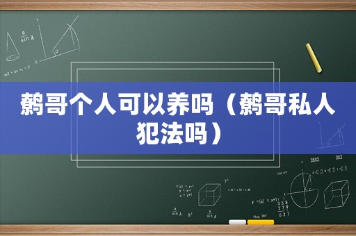 鷯哥個人可以養嗎（鷯哥私人犯法嗎）