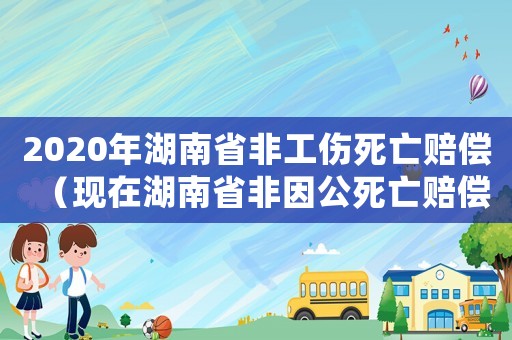 2020年湖南省非工傷死亡賠償（現在湖南省非因公死亡賠償標準）