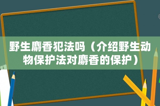 野生麝香犯法嗎（介紹野生動物保護法對麝香的保護）