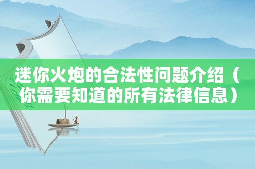 迷你火炮的合法性問題介紹（你需要知道的所有法律信息）