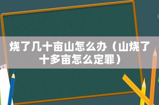 燒了幾十畝山怎么辦（山燒了十多畝怎么定罪）
