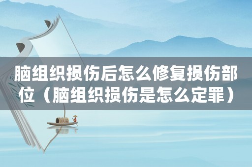 腦組織損傷后怎么修復損傷部位（腦組織損傷是怎么定罪）