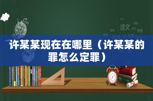 許某某現在在哪里（許某某的罪怎么定罪）