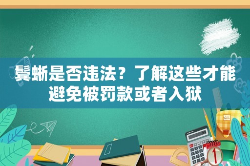 鬢蜥是否違法？了解這些才能避免被罰款或者入獄