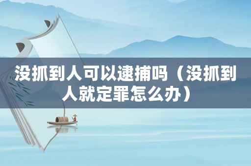 沒抓到人可以逮捕嗎（沒抓到人就定罪怎么辦）