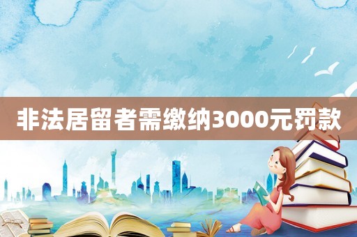 非法居留者需繳納3000元罰款