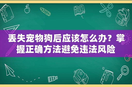 丟失寵物狗后應該怎么辦？掌握正確方法避免違法風險