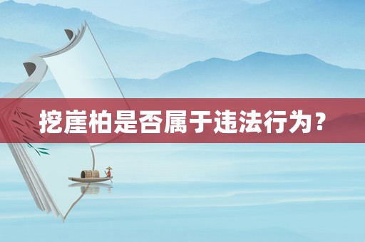 挖崖柏是否屬于違法行為？
