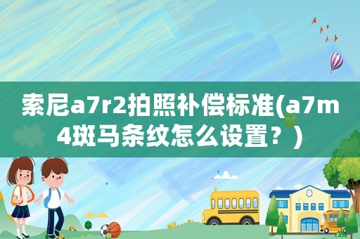 索尼a7r2拍照補償標準(a7m4斑馬條紋怎么設置？)