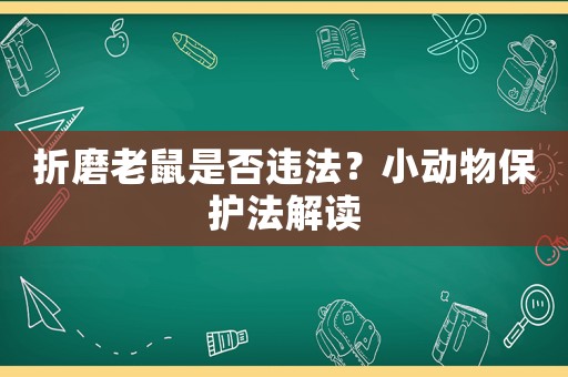 折磨老鼠是否違法？小動物保護法解讀